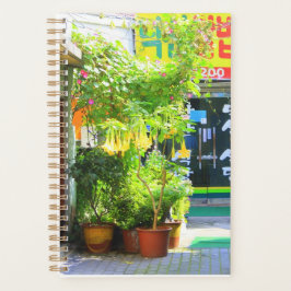 Agenda Daegu City Street Planner