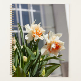 Agenda Daffodils fodils fodils primavera