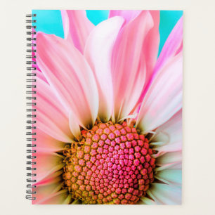 Agenda Daisy