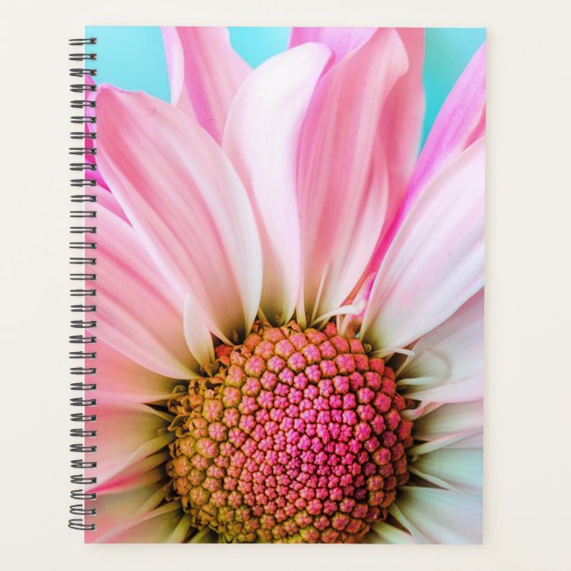 Agenda Daisy (Frente)