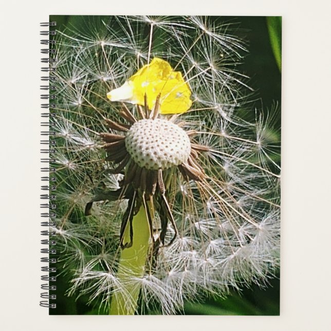 Agenda Dandelion (Frente)