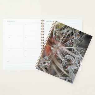 Agenda Dandelion Abstrato