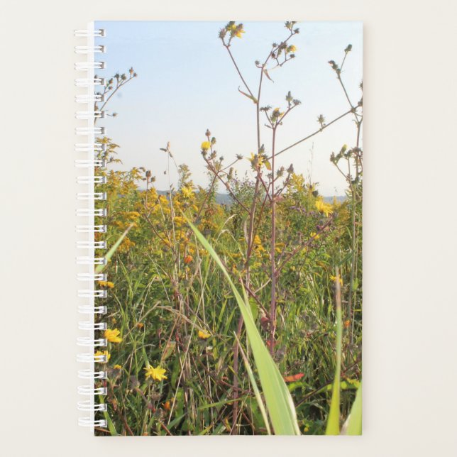 Agenda Dandelion Field Bokeh (Frente)