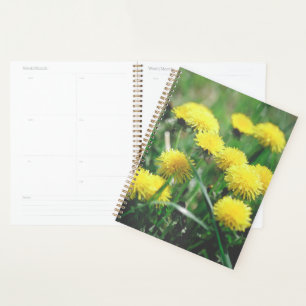 Agenda Dandelion Flowers Dandelions Amarelo Verde