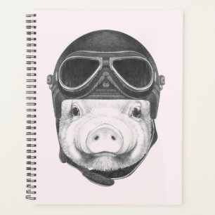 Agenda Daredevil Pig