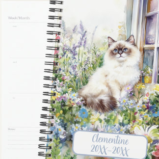 Agenda de compromissos não datada do gato Ragdoll