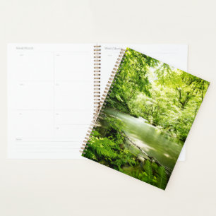 Agenda Deep In the Forest