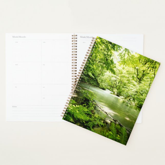 Agenda Deep In the Forest (Exibição)