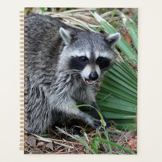 Agenda Deixe-me sozinho (Frente)