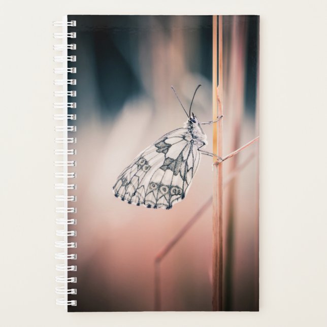 Agenda Demi-deuil (Frente)