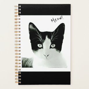 Agenda Desenho de Gatinhos Pretos e Brancos