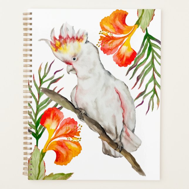 Agenda Desenho em aquarela de um papagaio-católico (Frente)