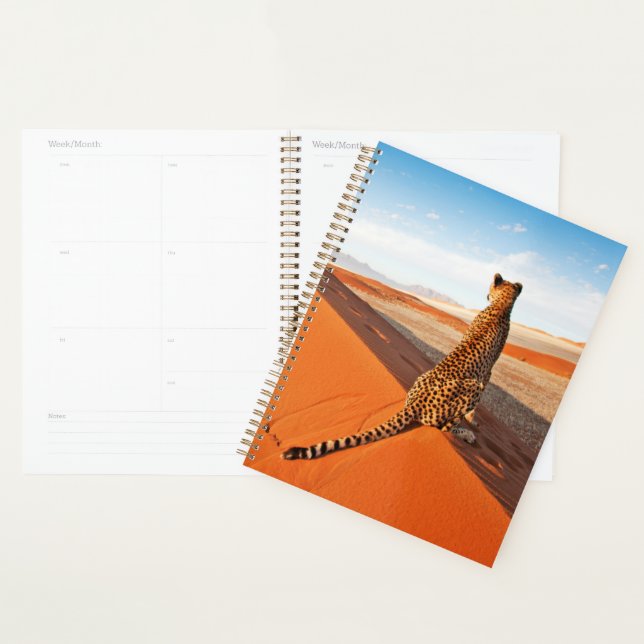 Agenda Desertos | Deserto Cheetah Savannah (Exibição)