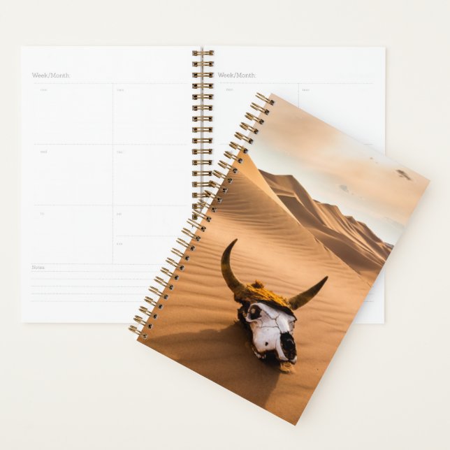 Agenda Desertos | Dunas De Areia De Vaca (Exibição)