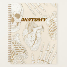 Design Estético Médico Esqueleto Anatomia Bege