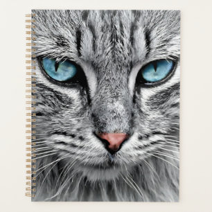 Agenda Design Fratural Da Face Cat-10682