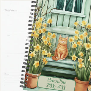 Agenda Diário de Agendamento de Gato Laranja Sem Data
