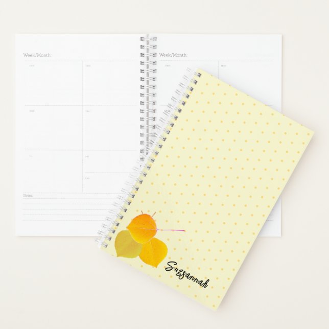Agenda Diminuir Cluster no Padrão de Bolinhas Laranja (Exibição)