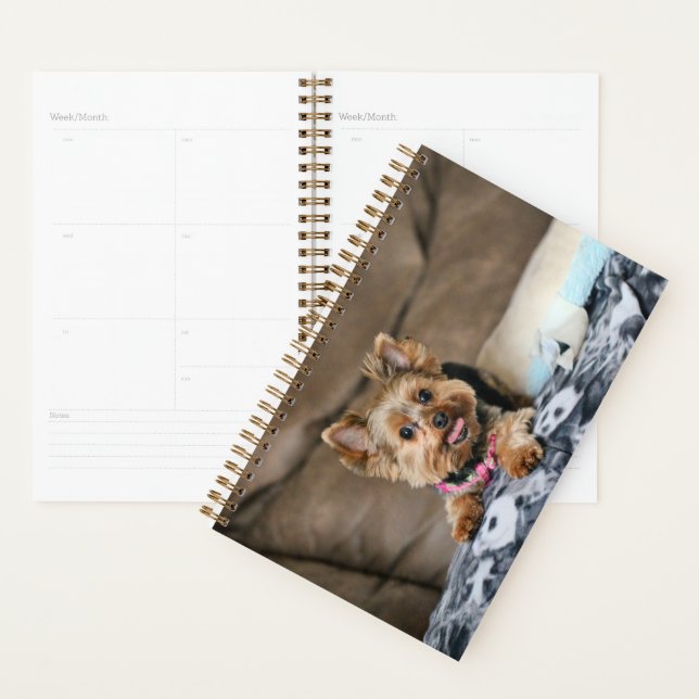 Agenda Dinâmico pequeno (Exibição)