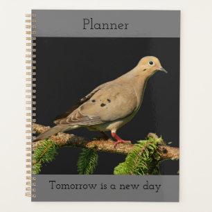 Agenda Doença de Luto