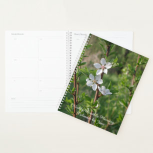 Agenda Dogwood Blossoms Calendário de Janz