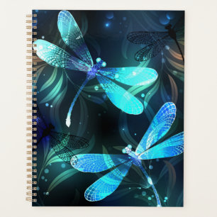 Agenda Dragonflies de lago