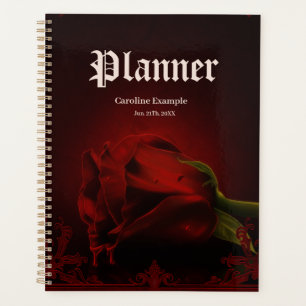 Agenda Drama do Amor, o Rosa gótico da Memória.