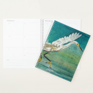 Agenda Egret Gorgeous Shorebird Sobre A Mão De Água Pinta