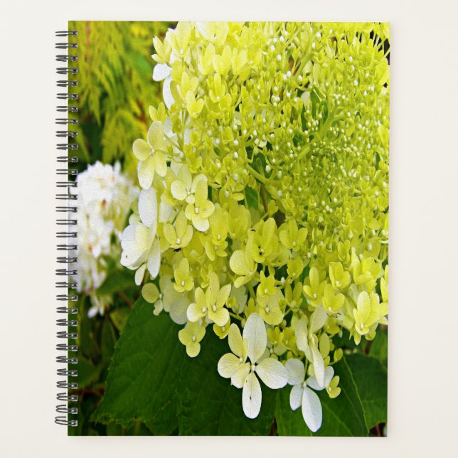 Agenda Elegante Hidrangea Limelight Verde Chartreuse (Frente)