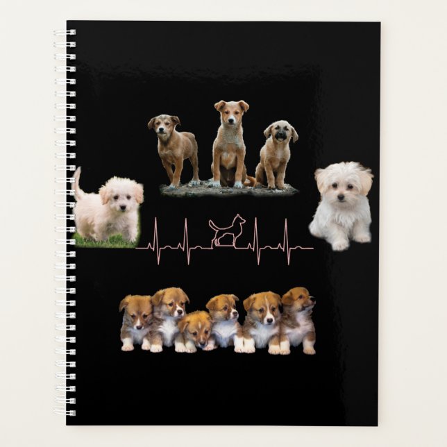 Agenda Embalagem de cães, Encapsulamento Engraçado (Frente)