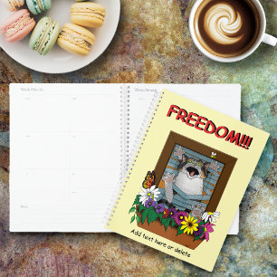Agenda Engraçado Janela Gato Amarelo
