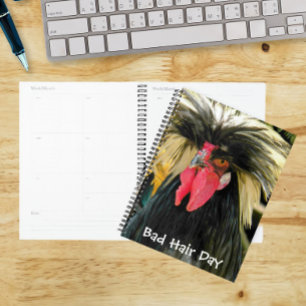 Agenda Engraçado Mau Cabelo, Memória de Galinha