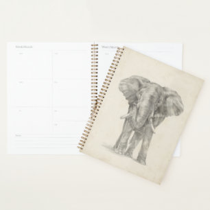Agenda esboço elefante