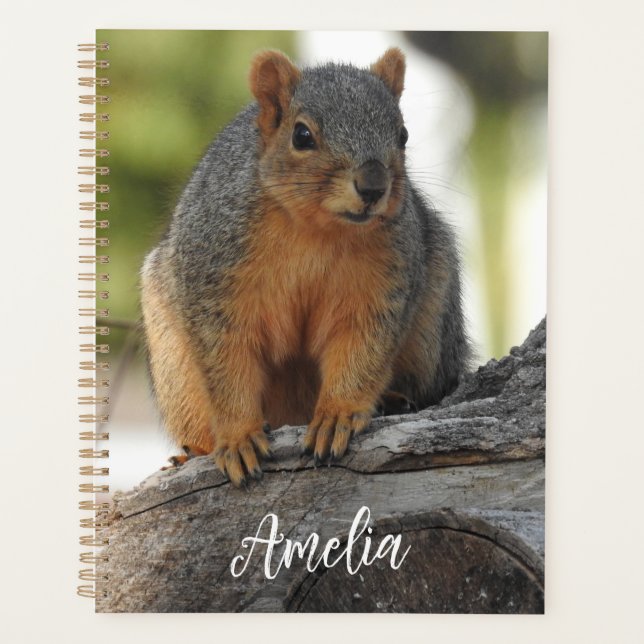 Agenda Esquilo Personalizado Bonito (Frente)