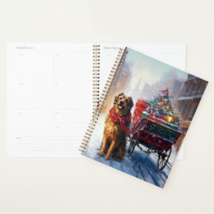 Agenda Estação Festiva de Natal do Setentrional Irlandês