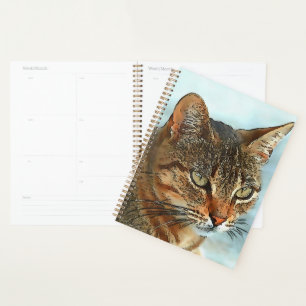 Agenda Estilo de Cartoon Artístico Tabby Cat RB