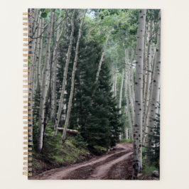 Agenda Estrada Através do Pássaro