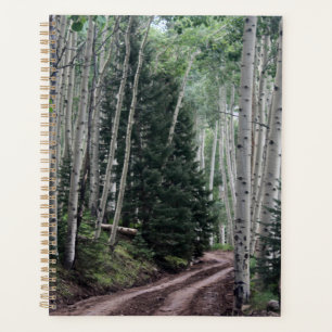 Agenda Estrada Através do Pássaro