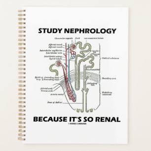Agenda Estude Nefrologia Porque é Tão Nefrologia Renal