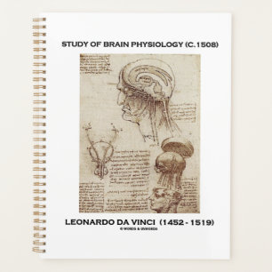 Agenda Estudo Da Fisiologia Cerebral (c. 1508) da Vinci