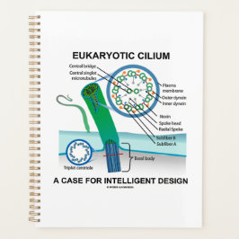 Agenda Eukaryotic Cilium A Case Para Design Inteligente