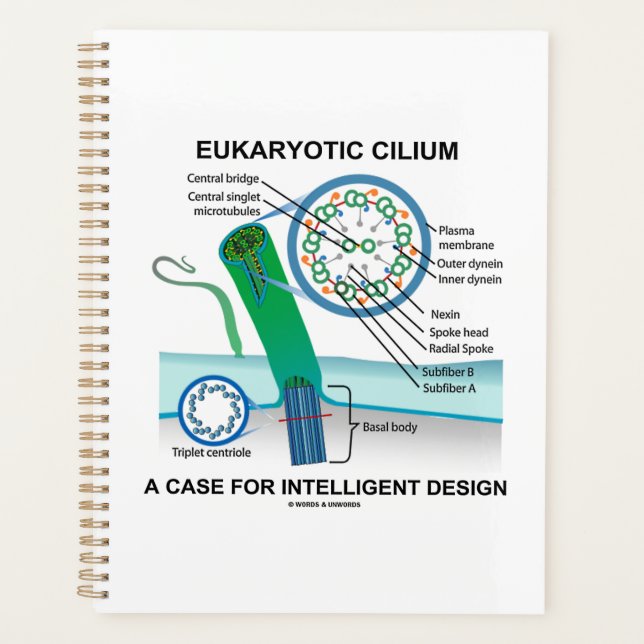 Agenda Eukaryotic Cilium A Case Para Design Inteligente (Frente)