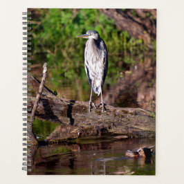Agenda Excelente Azul Heron no Log Photo Planner