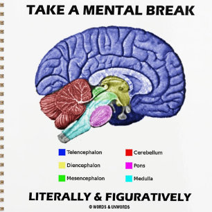 Agenda Faça Uma Quebra Mental Literalmente E Figurativam