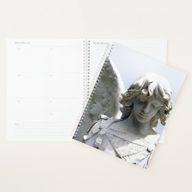 Agenda Falln Autumn Angel (Exibição)