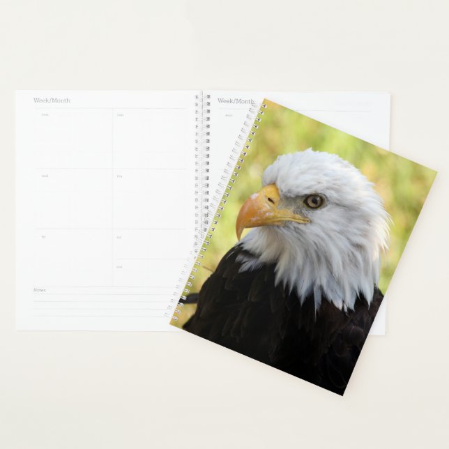 Agenda Falln Liberty (Exibição)