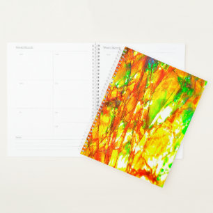 Agenda Falln Sunset Ammolite