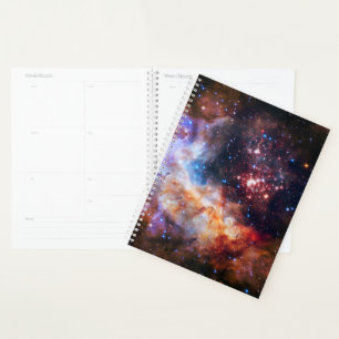 Agenda Falln Westerlund Starfield