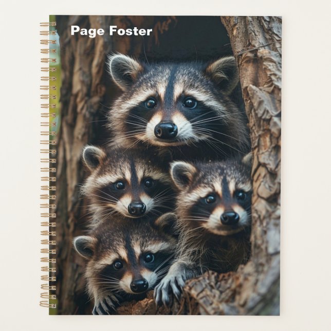 Agenda Família Raccoon (Frente)