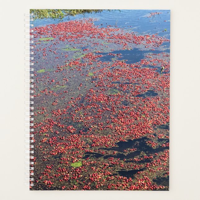 Agenda Fazenda de amora, Long Beach, Washington (Frente)